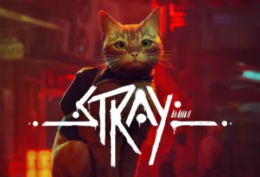 stray review on ps5