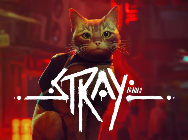 stray review on ps5